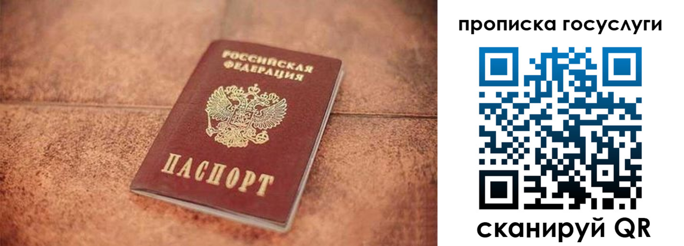 прописка законно в Жирновске
